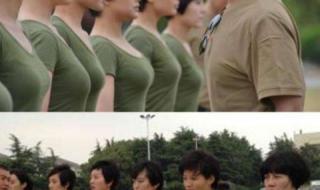 我的特种兵之火凤凰 我的特种兵之火凤凰