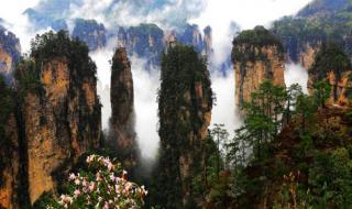 超全篇 张家界旅游必看攻略