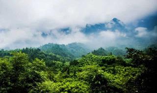 屈原是现在的哪里人