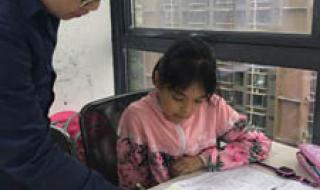 2025 年报考指南 高考分数线与报考指南