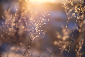 寻找城堡碎片攻略 寻找城堡模型的碎片