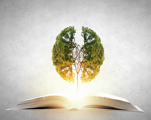 寻找城堡碎片攻略 寻找城堡模型的碎片